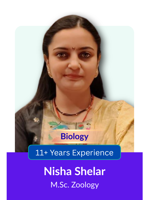 11+ Years Experience